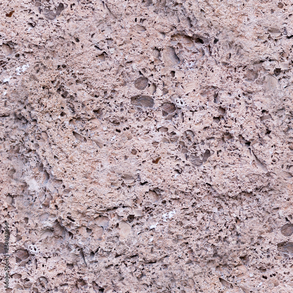 seamless natural coquina shell rock texture. background, geological. seamless natural coquina shell rock texture. background, geological.
