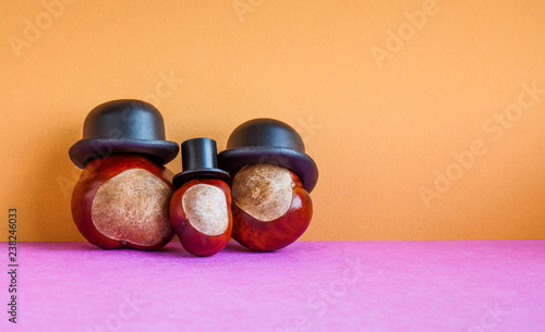 Obraz na plátne Funny family horse chestnut seeds with black hats