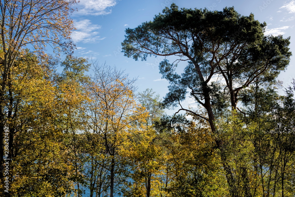 Fototapeta premium Erkner, Flakensee im Herbst