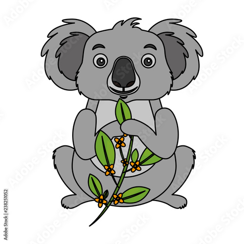 koala eating branch eucalyptus
