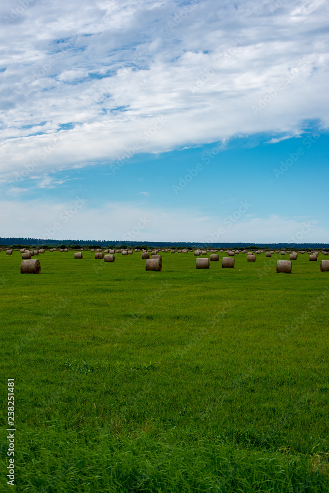 rolls of hay in green field under blue sky rolls of hay in green field under blue sky