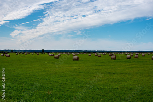 rolls of hay in green field under blue sky