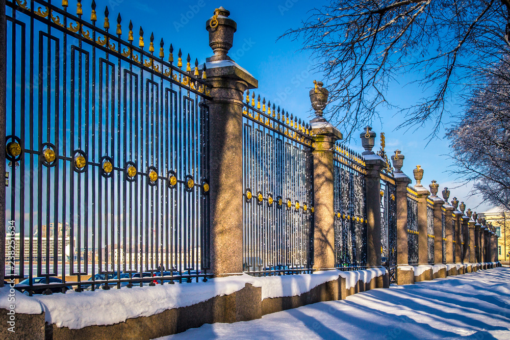 Fototapeta premium Saint Petersburg. Winter. Russia. Summer garden. Center of Petersburg. Russia in the winter. Neva River. Petersburg Embankment.