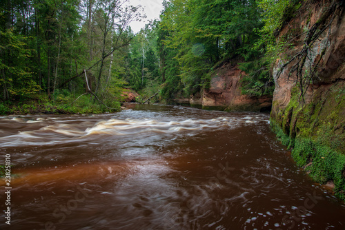 fast river in forest