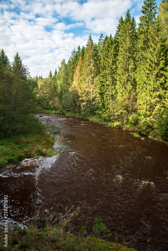 fast river in forest