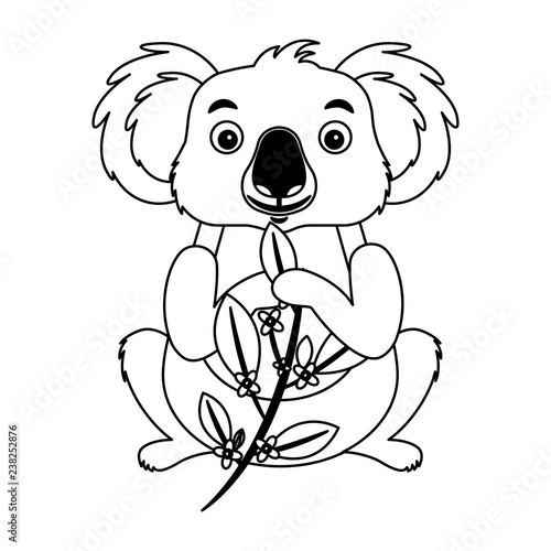 koala eating branch eucalyptus