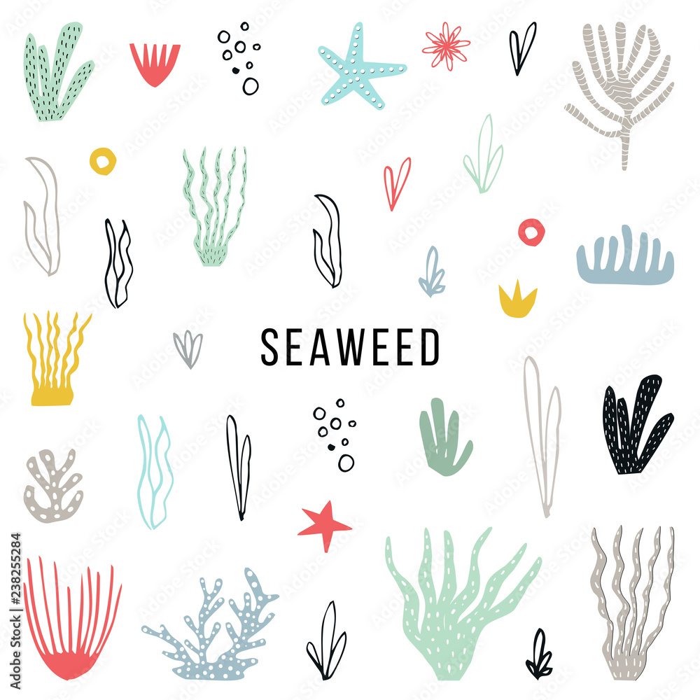 Big set of colorfull seaweed hand drawn and cut out of paper. Vector illustration Big set of colorfull seaweed hand drawn and cut out of paper. Vector illustration