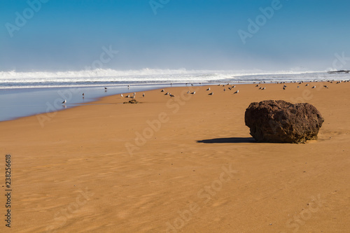 Rock on the Atlantic ocean beach, Morocco photo