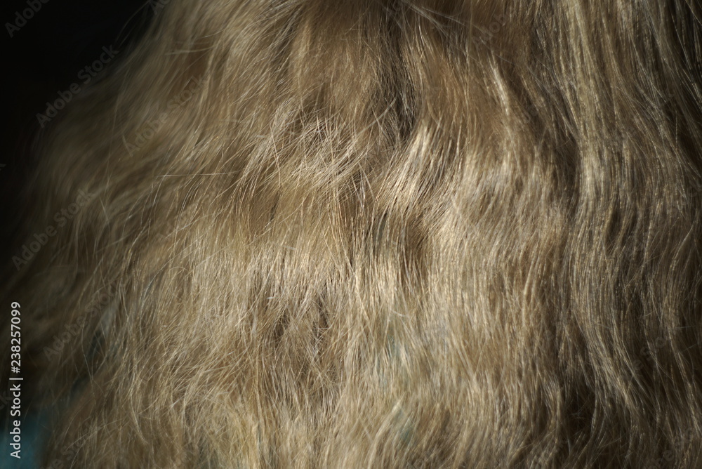 Naklejka premium mała dziewczynka z luźnymi blond włosami