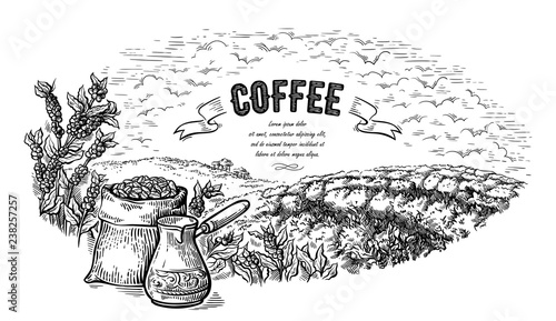 coffee plantation landscape bag bush and coffeepot in graphic style hand-drawn vector illustration.