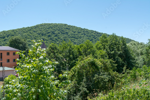 High mountain covered with forest