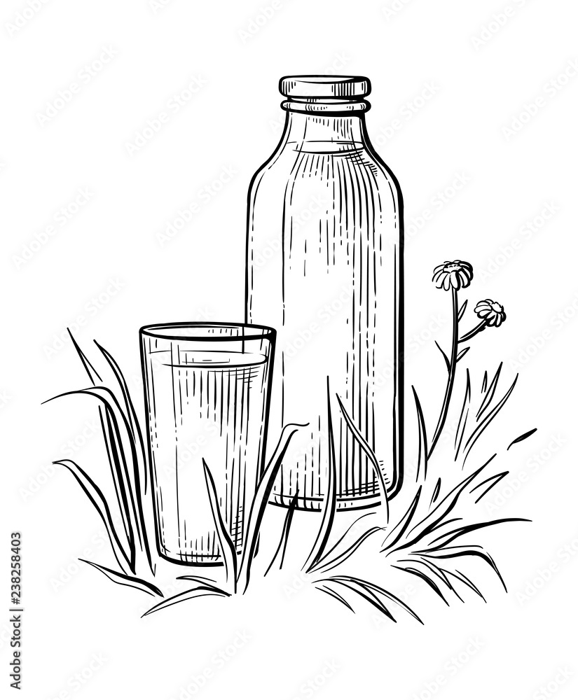 Healthy Breakfast Drawing Sketch Glass Milk Bottle Cup Vector Illustration Stock Vector Adobe Stock