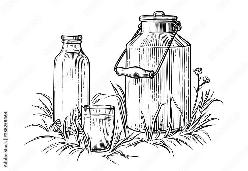 Vecteur Stock Healthy Breakfast Drawing Sketch Glass Milk Bottle Iron Can Cup Vector Illustration Adobe Stock