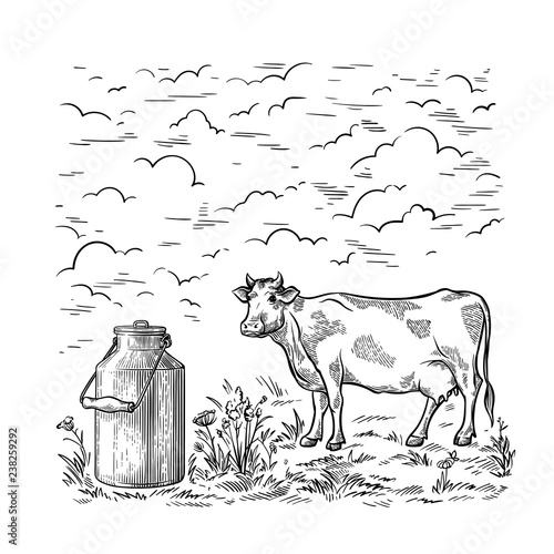 healthy Breakfast drawing sketch glass milk bottle iron can cup field cow vilage vector