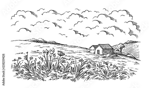 field near the village houses in the background and flowers vector