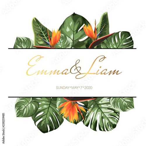 Greenery bouquet wreath template, monstera Philodendron leaves and strelitzia flowers of bird paradise in oval shape with white frame. Wedding invitation card.