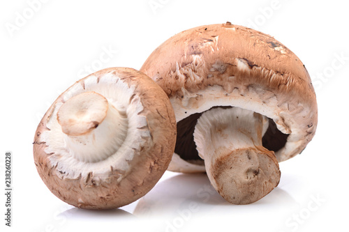 Champignon mushrooms on a white background