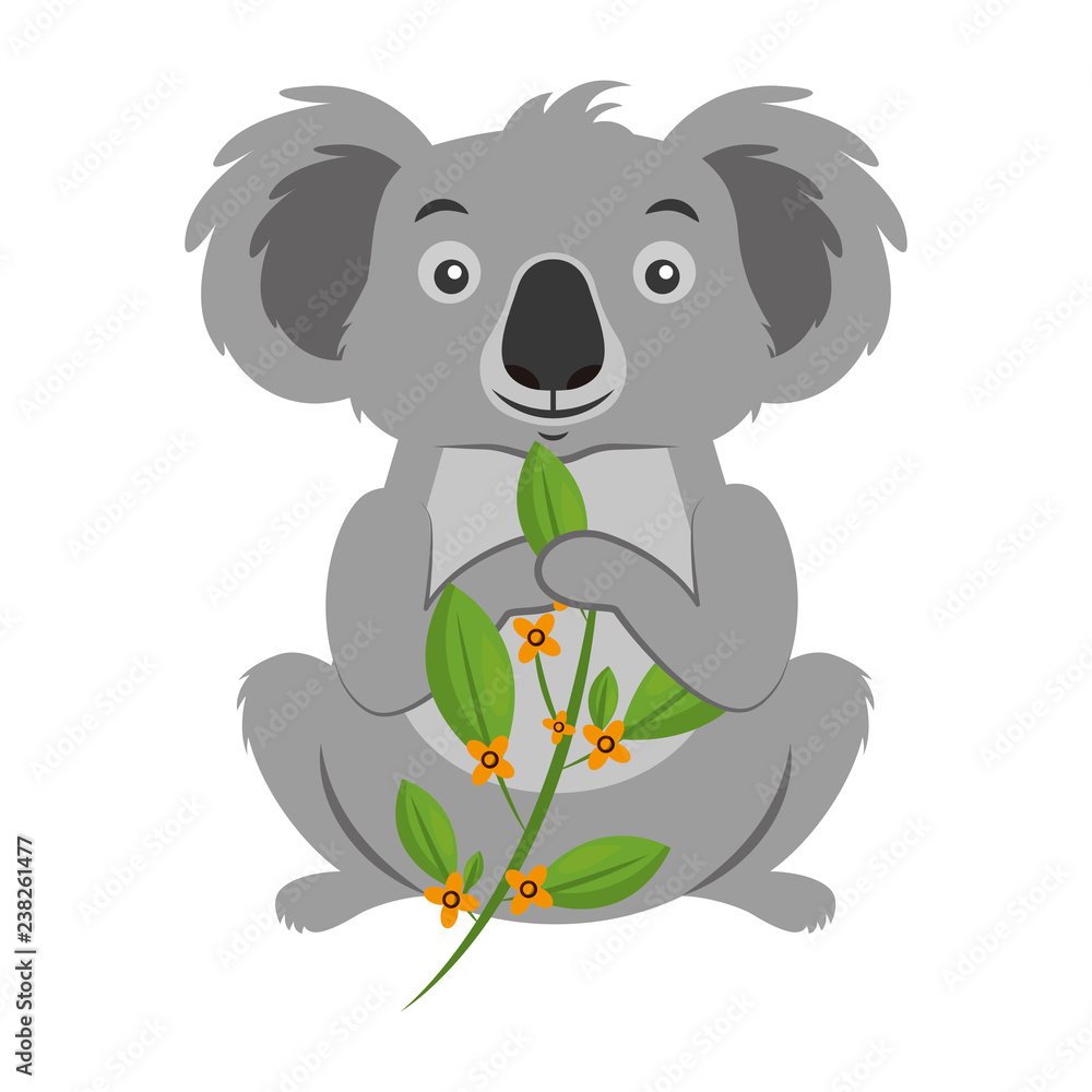 koala eating branch eucalyptus koala eating branch eucalyptus