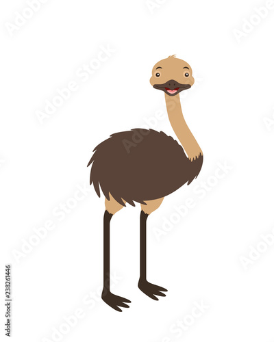 emu fauna on white background