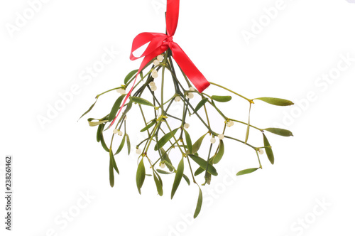 Canvastavla Mistletoe against white