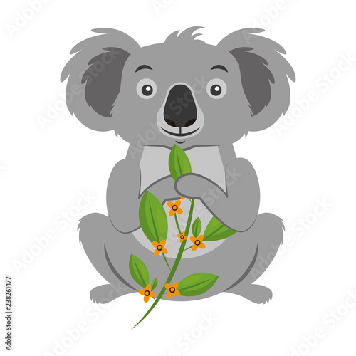koala eating branch eucalyptus