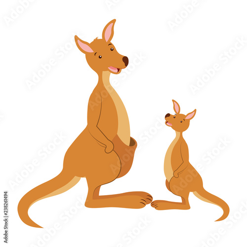 kangarro and baby australian wildlife