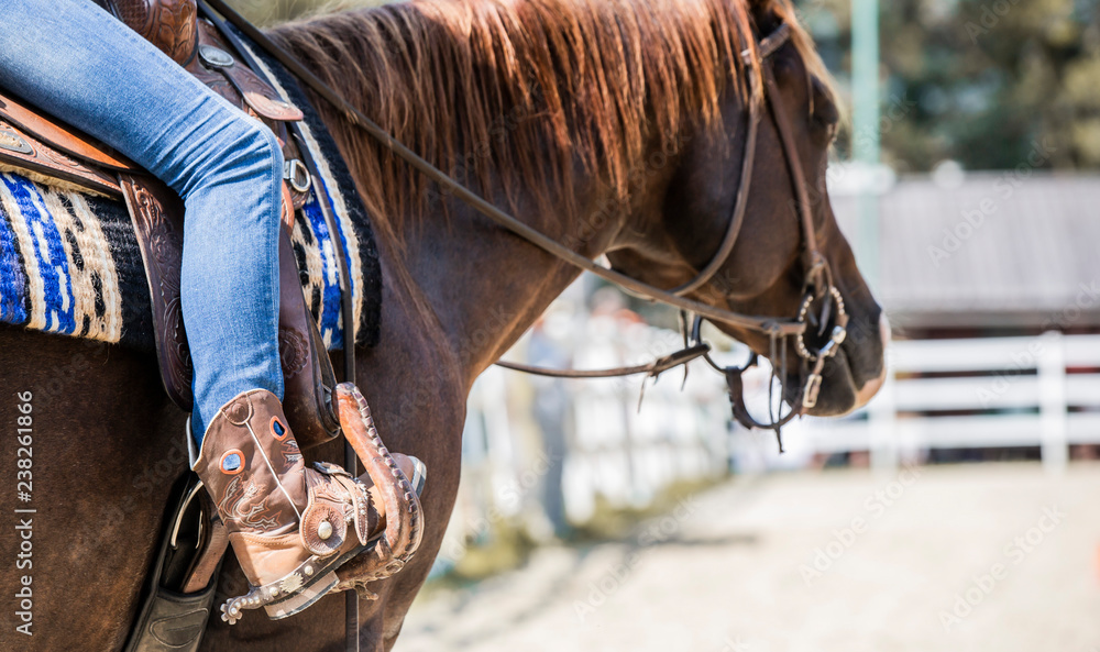 Western sales equestrian boots