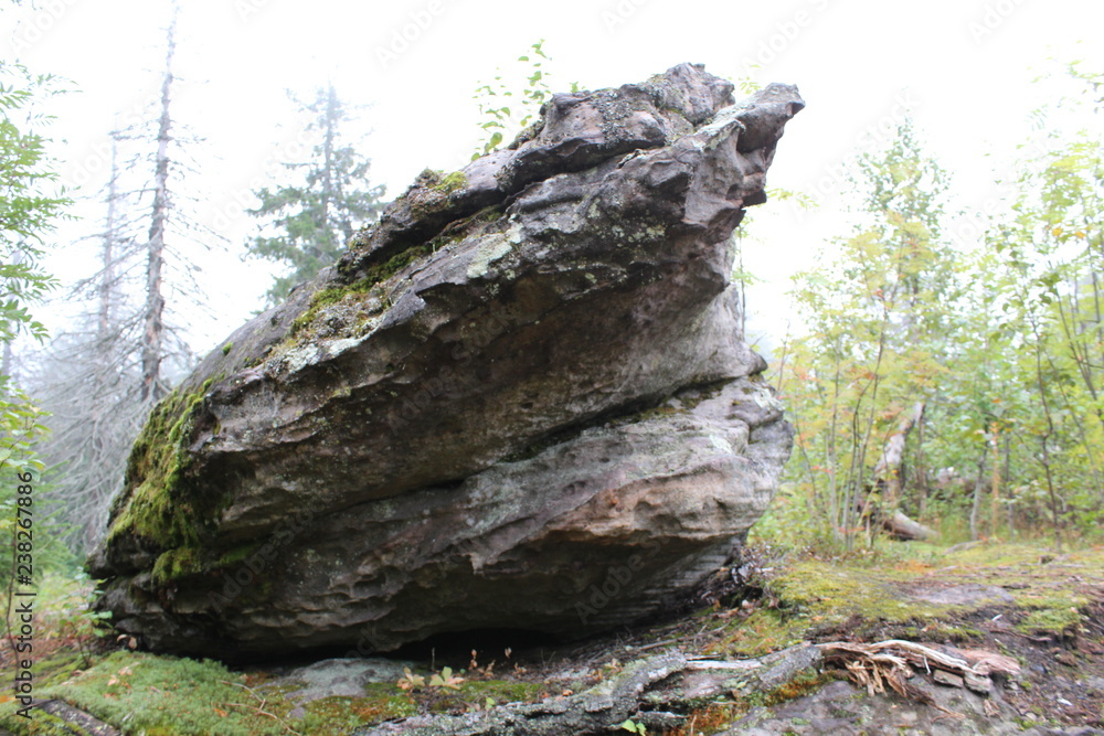 photo landscape of forest and stones on the mountain