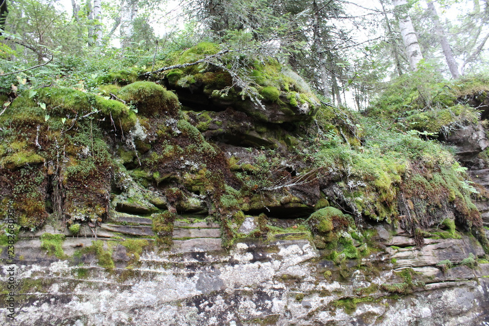 photo landscape of forest and stones on the mountain photo landscape of forest and stones on the mountain