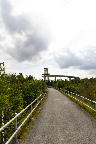 Obraz na płótnie bridge in the park w salonie