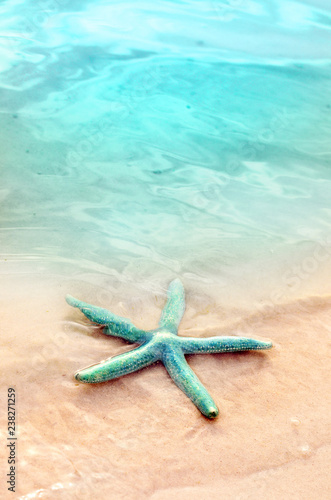 Starfish on the summer beach. Summer background. Tropical sand beach
