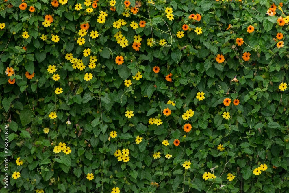 JARDIN FLORES PLANTAS ARVOLES