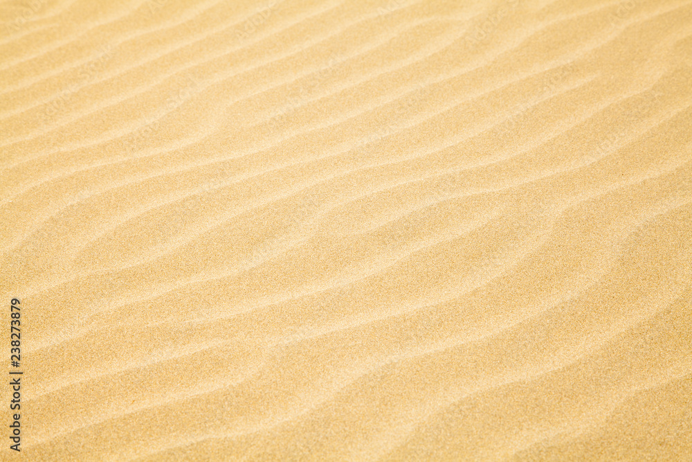 Sand Waves Sand Waves