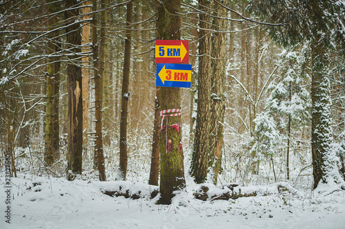 Direction signs with yellow arrows to three and five kilometers on a winter forest background