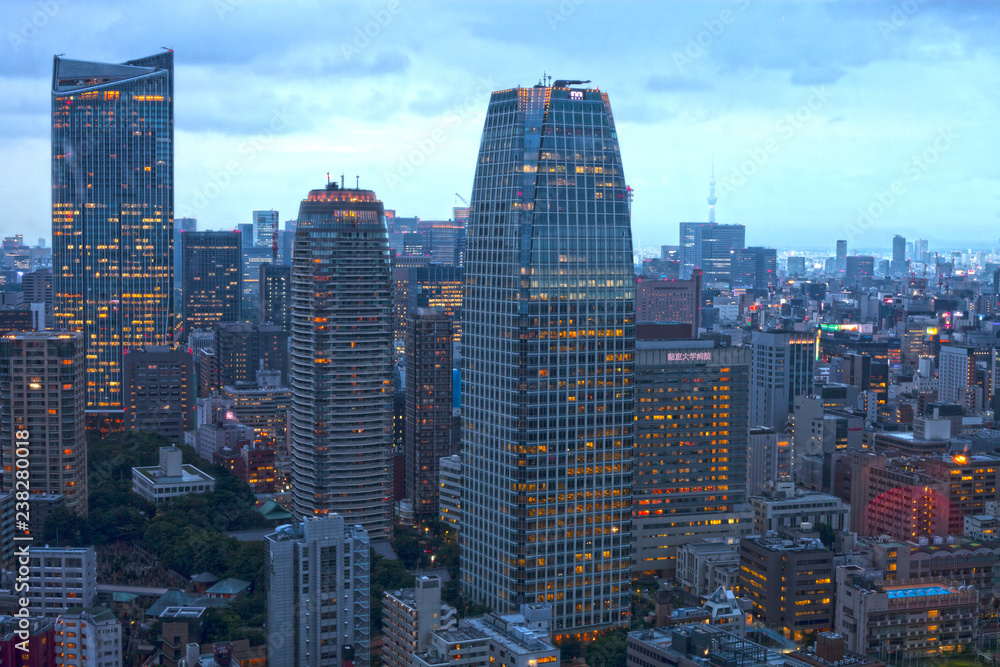 Fototapeta premium Głąb miasta Tokio