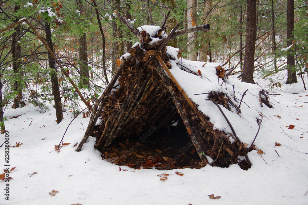 Primitive Survival A Frame Debris Shelter in the cold winter snow