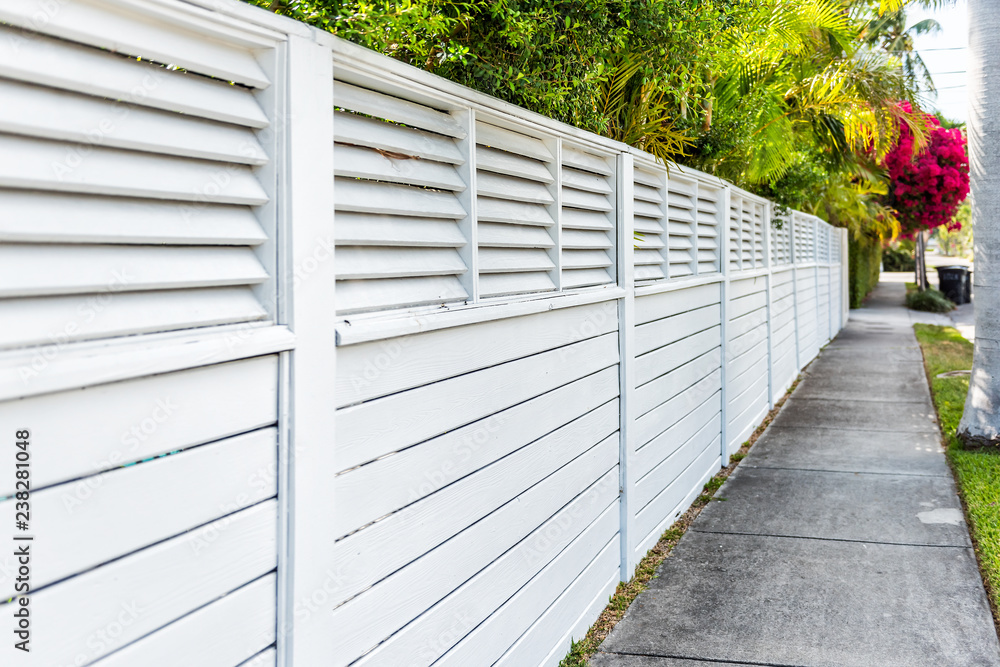 Obraz premium White fence and red or pink bougainvillea flowers in Florida Keys or Miami, green plants landscaping landscaped sidewalk street road house during summer spring day