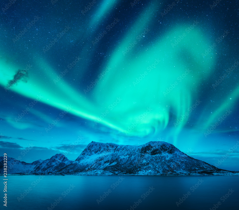 Aurora borealis above the snow covered mountain in Lofoten islands, Norway. Northern lights in winter. Night landscape with green polar lights, snowy rocks, blue sea. Beautiful starry sky with aurora