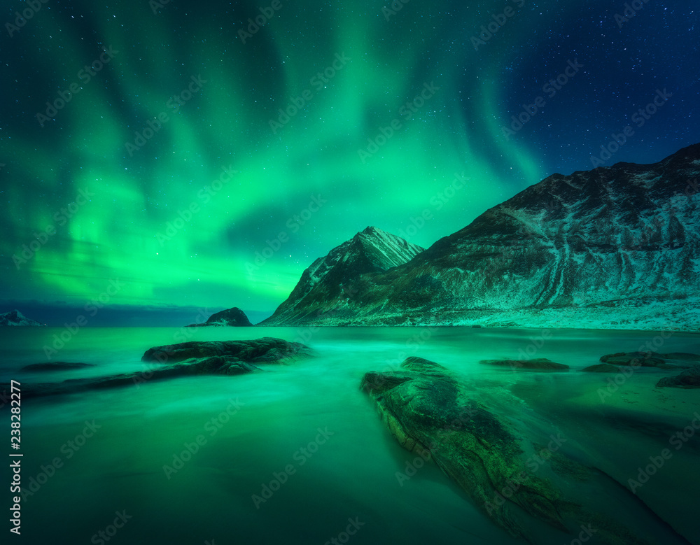 Aurora borealis above snowy mountain and sandy beach with stones. Northern lights in Lofoten islands, Norway. Starry sky with polar lights. Night winter landscape with aurora, sea with blurred water