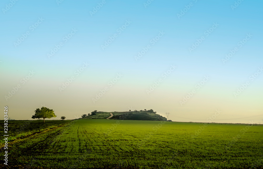 Fototapeta premium view and skyline of hill with green field in spring.