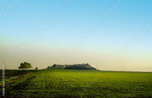 view and skyline of hill with green field in spring.