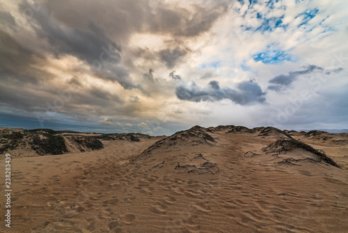 Sand dunes, Guadalupe Dunes National Wildlife Reserve, California