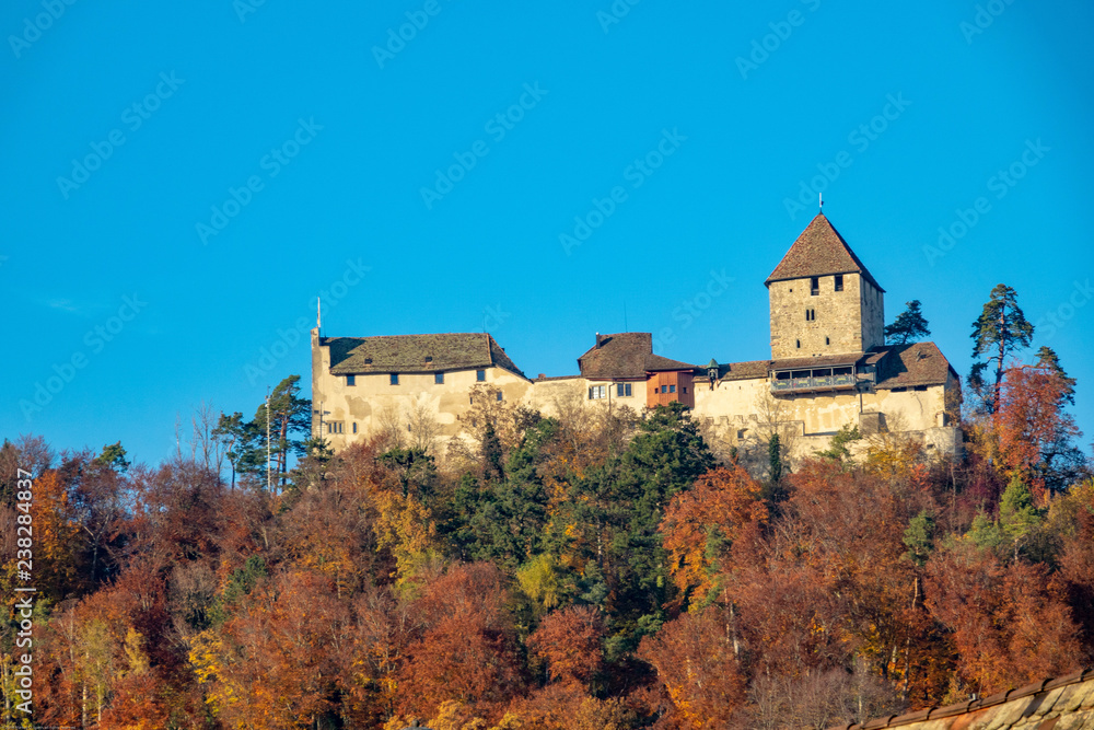 Castle Hohenklingen