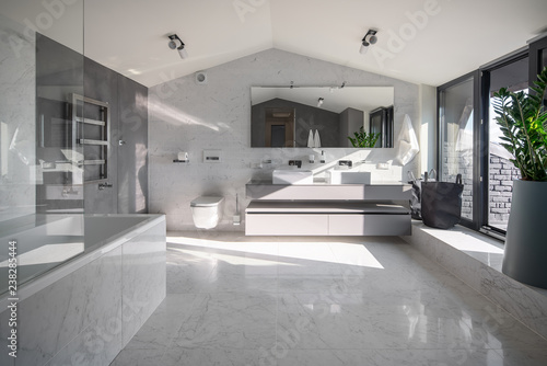 Sunny bathroom in modern style with different walls © Andriy Bezuglov