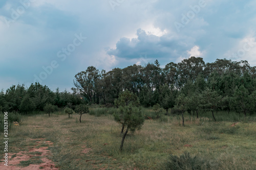 Natural green landscape in Mexico