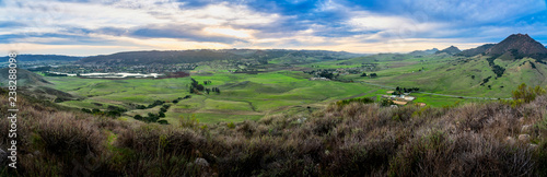 Green Field at Sunset, San Luis Obispo, CA