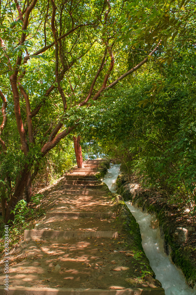 Water running, stairs and trees Water running, stairs and trees