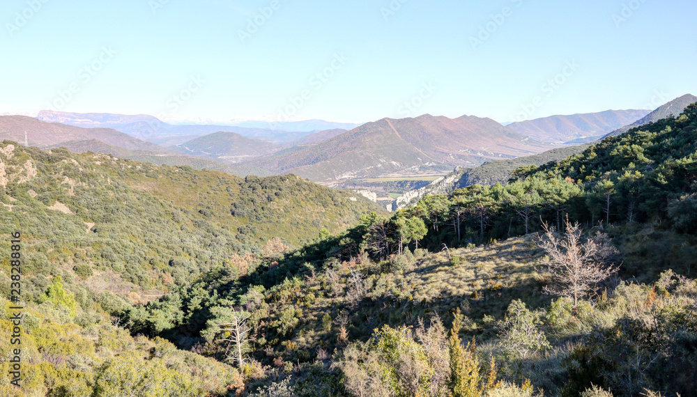Obraz premium A landscape of the pre-Pyrenees lands and mountains, with fir and pine tree forests, on the way from Riglos to La Peña in winter, Aragon, Spain