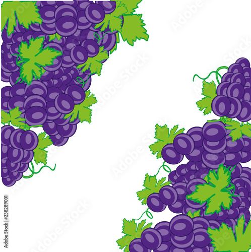 Decorative background from ripe grape on white