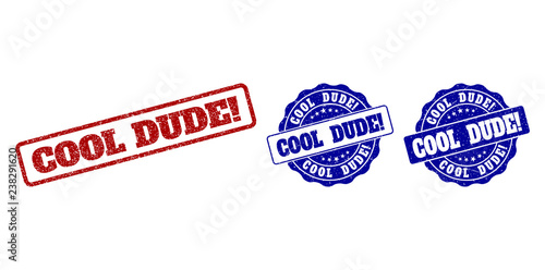 COOL DUDE! grunge stamp seals in red and blue colors. Vector COOL DUDE! signs with draft surface. Graphic elements are rounded rectangles, rosettes, circles and text captions.